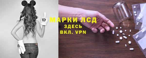 ешки Бородино