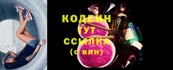 дмт Богородицк