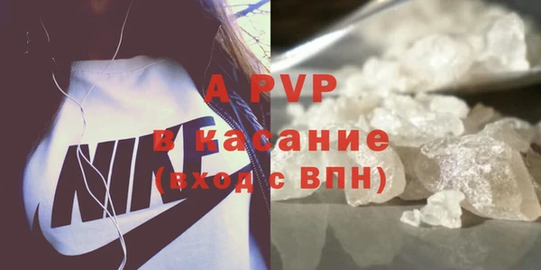 ешки Бородино