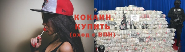 ешки Бородино
