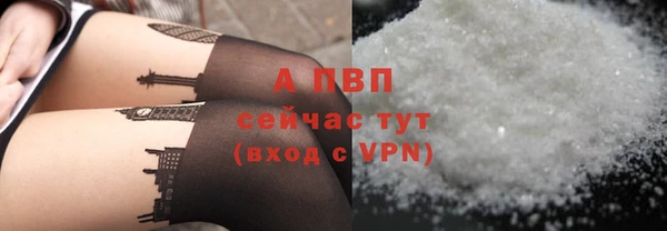 дмт Богородицк