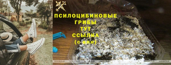 шишки Белокуриха