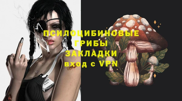 не бодяженный Богданович