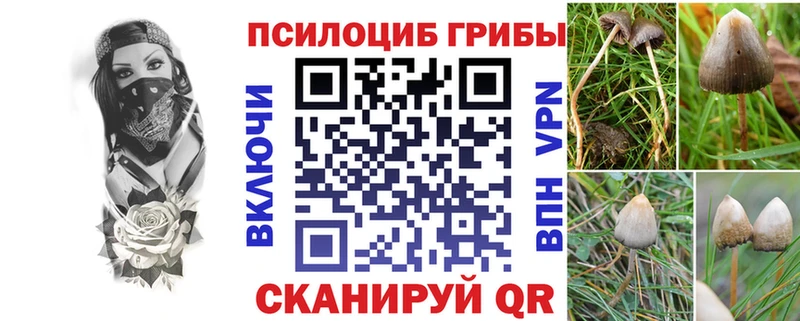 omg ССЫЛКА  Дагестанские Огни  Галлюциногенные грибы MAGIC MUSHROOMS 